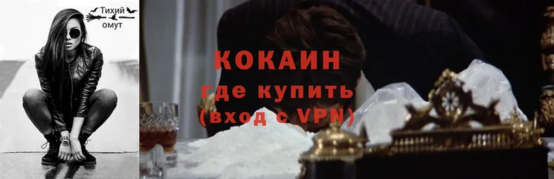 Cocaine FishScale  купить   Нижнекамск 