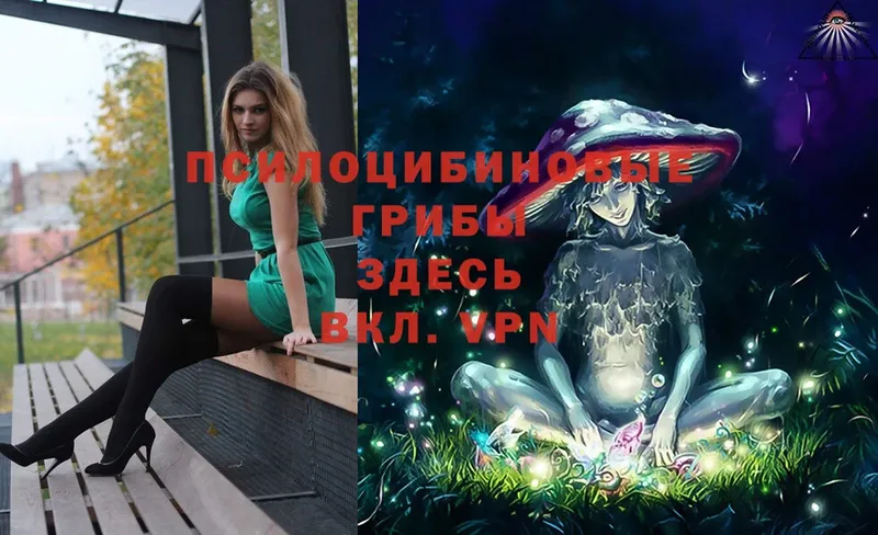 Псилоцибиновые грибы Psilocybe Нижнекамск